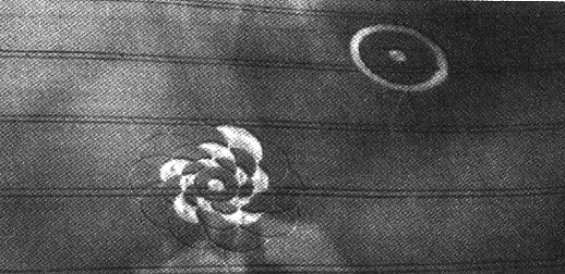 http://www.korncirkler.dk/02cc/flower1.jpg