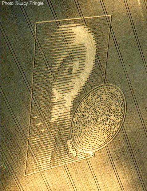 Crop Circle Dna